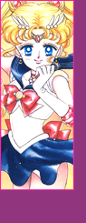 Costume Saison Sailor Moon