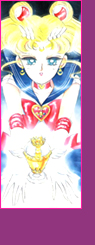 Costume Saison Sailor Moon