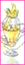 Le Saint Graal